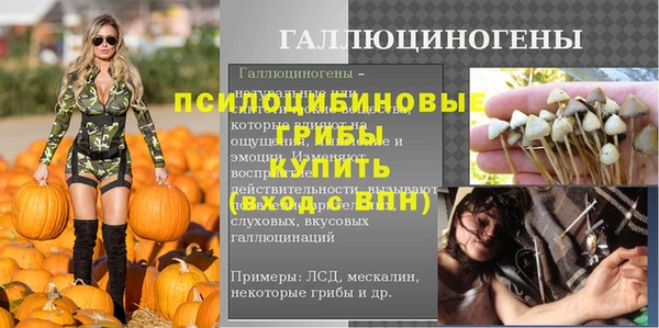 прущие крисы Белокуриха